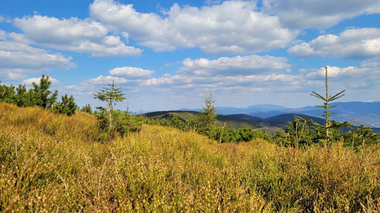 Superior Laguna Beskidow 3 Rooms! Sauna&Gym! Air Condition! Zarzecze  Екстер'єр фото